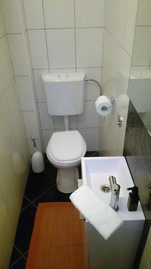 Zagorje ob Savi Bergmannhaus 빌라 외부 사진